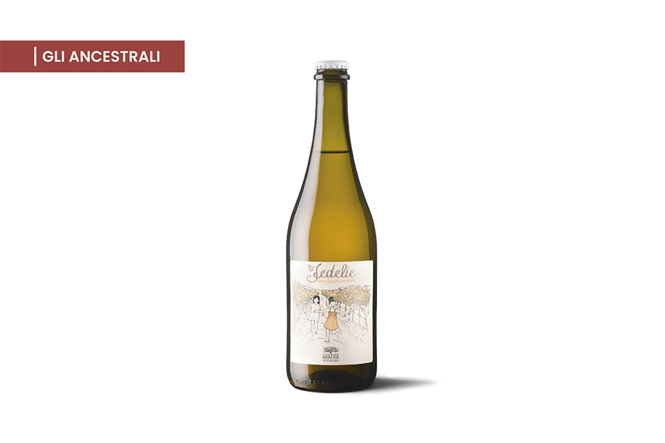 fedelie bianco - gli ancestrali - vini cantina marilina