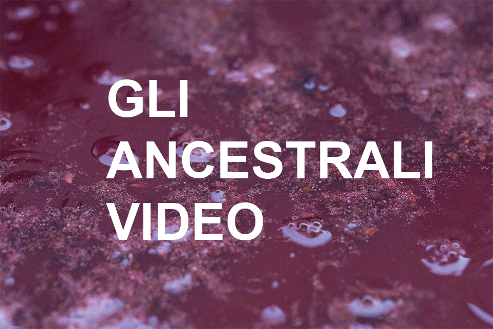 Ancestrali video