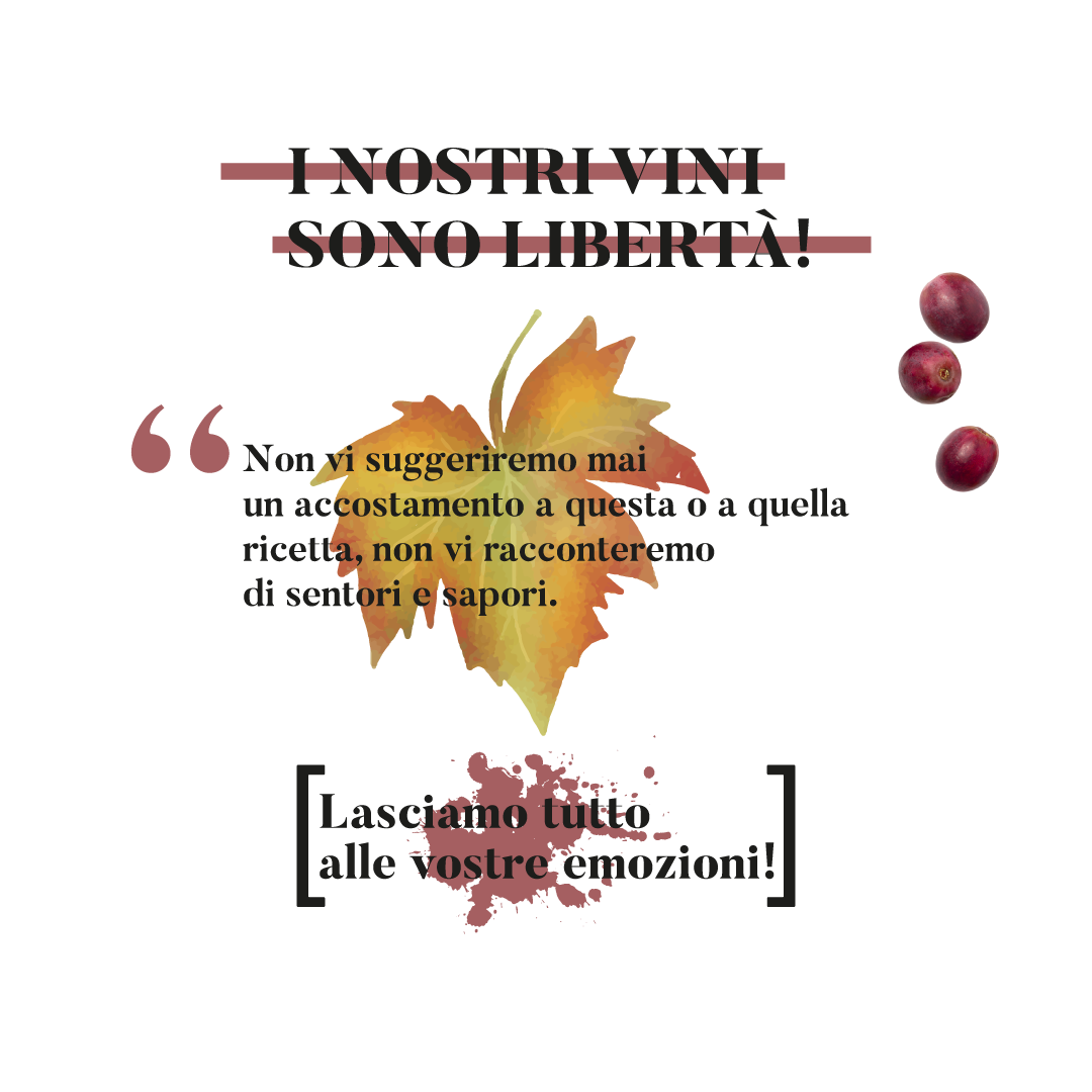 Frase-Cantina-Marilina Frase-Cantina-Marilina